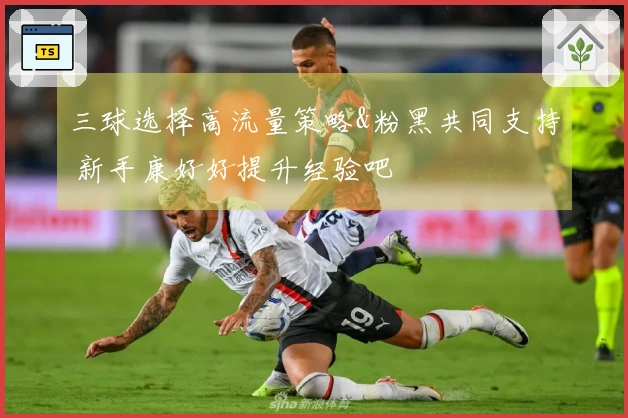 三球选择高流量策略&粉黑共同支持 新手康好好提升经验吧