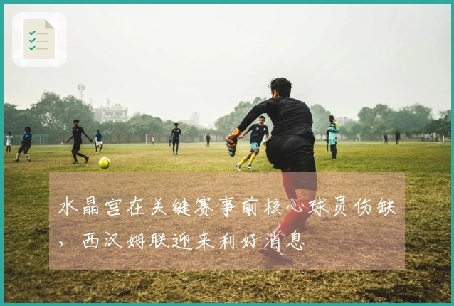 水晶宫在关键赛事前核心球员伤缺，西汉姆联迎来利好消息