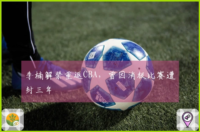李楠解禁重返CBA，曾因消极比赛遭封三年